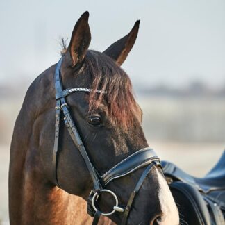 HorseGuard Cryll 23.2 Crystal Rock Trense - FULL