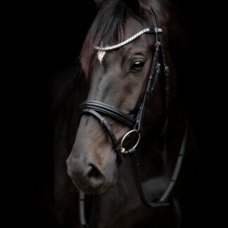 HorseGuard Emi 24.1 Trense - PONY