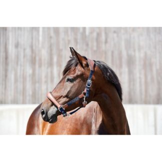 HorseGuard Keisha Grime - COB