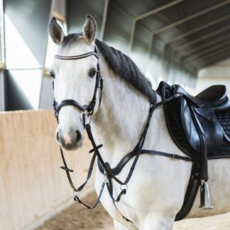HorseGuard Luke 5-punkts Fortøj - COB - BRUN