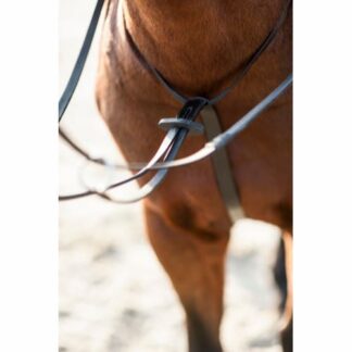 HorseGuard Martingal - PONY