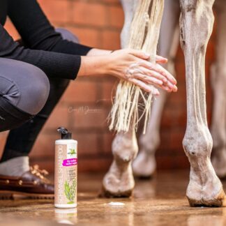 Bense & Eicke Skimmel Shampoo, 500 ml.