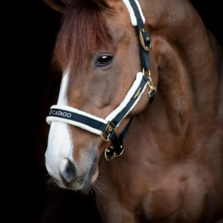 Catago Bea Grime, Sort - COB
