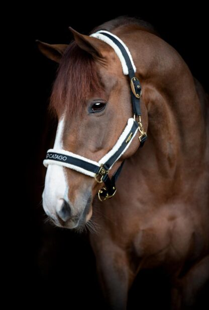 Catago Bea Grime, Sort - COB