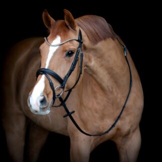 Catago Brooklyn Trense - COB