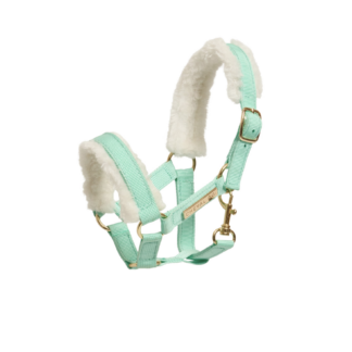 Cheval Roi Grime, Mint