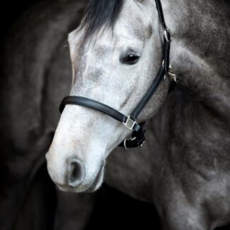 HorseGuard Sabine Lædergrime - COB