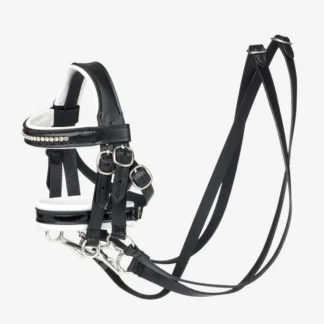 LeMieux Mini Pony Kandar