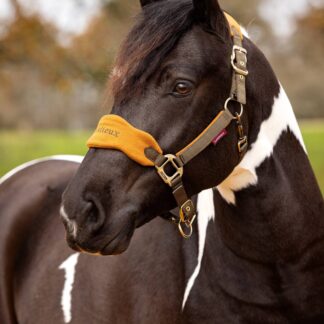 LeMieux Vogue Grimesæt - Ginger - COB