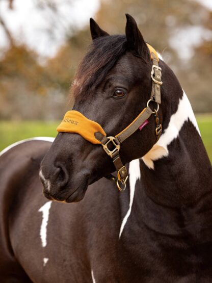 LeMieux Vogue Grimesæt - Ginger - COB