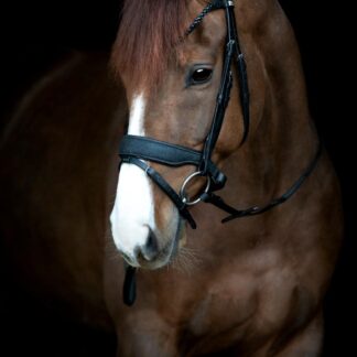 HorseGuard Cryll 24.2 Trense - COB