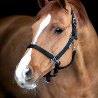 HorseGuard Saby Grooming Grime - COB